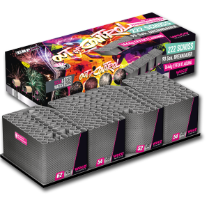 Foto Feuerwerksbatterie Out of Control&nbsp;